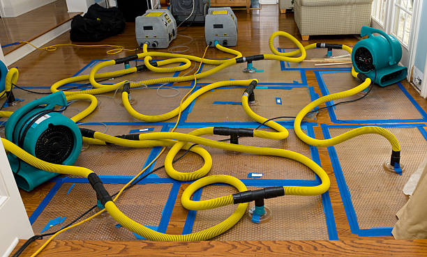 Professional Crawl Space Water Removal technician working in Palisades Park, NJ